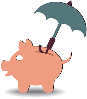 Rainy Day Fund.